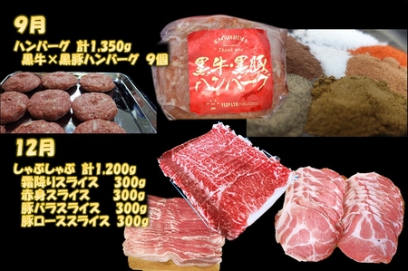 【全4回】鹿児島黒毛和牛焼き肉、スライス、ハンバーグ定期便 084-14