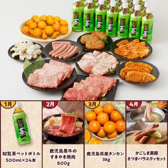 【全12回】南九州トクトク定期便 MK-TK