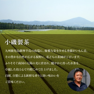 知覧銘茶　かいもんみどり5本セット