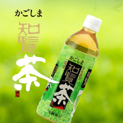 かごしま知覧茶ペットボトル24本