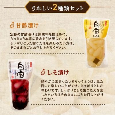 鹿児島県産砂丘らっきょう漬けセット