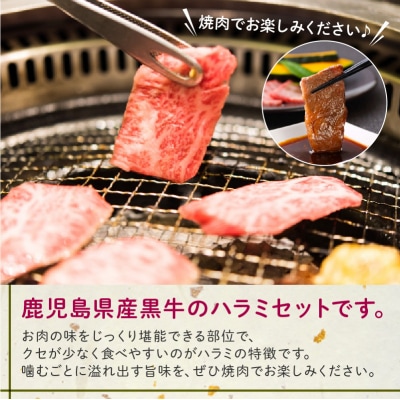 鹿児島県産黒毛和牛ハラミ300g【配送不可地域：離島】