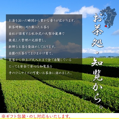 片野坂製茶 知覧茶煎茶なつめ缶ギフト