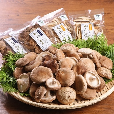 生しいたけ1kg・乾燥しいたけ4袋【配送不可地域：離島・北海道・沖縄県・東北・関東・信越、北陸・東海・近畿・四国】