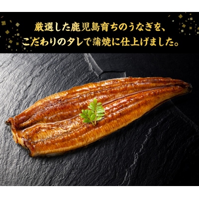 鹿児島県産うなぎ蒲焼3尾 タレ付【配送不可地域：離島】