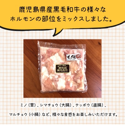 鹿児島県産黒毛和牛ホルモンミックス5パック【配送不可地域：離島】