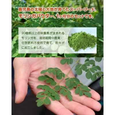 鹿児島TELLASファームのモリンガパウダー1か月分