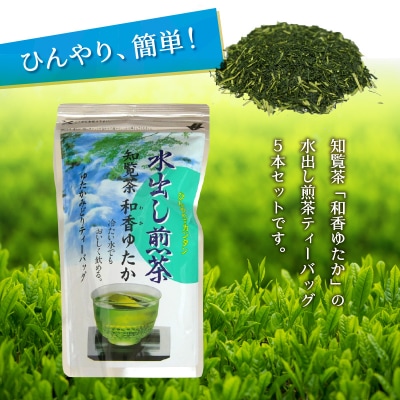 知覧茶水出し煎茶ティーバッグ5本セット