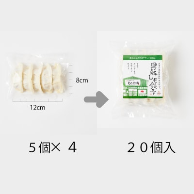 かごしま黒豚しそ餃子60個(タレ付)【配送不可地域：離島】