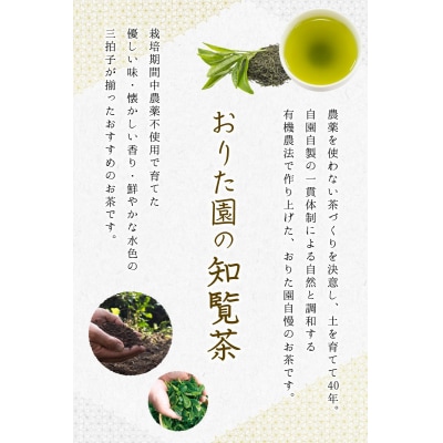 おりたの特別栽培知覧茶5本セット