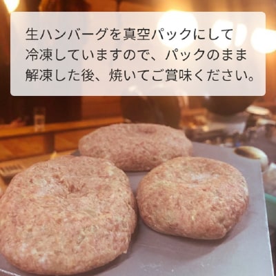 鹿児島県産 黒牛×黒豚ハンバーグ9個【配送不可地域：離島】