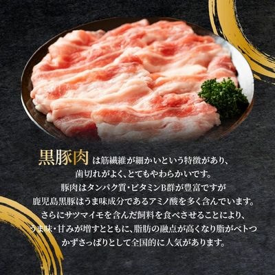 鹿児島県産黒豚 焼肉用8選(タレ付)【配送不可地域：離島】