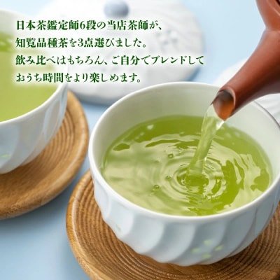 人気3品種知覧茶を贅沢に飲み比べ!