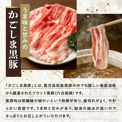 かごしま黒豚しゃぶしゃぶ用4パック・鹿児島県産ウナギ2尾の贅沢セット【配送不可地域：離島】