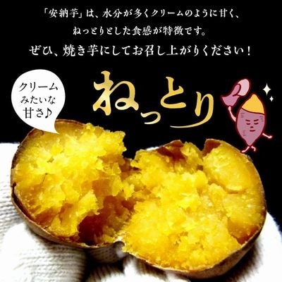 さつまいも 「安納芋」3kg