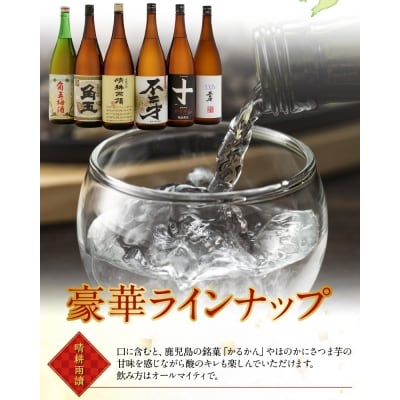 【佐多宗二商店】芋焼酎・梅酒まるごと1升びん 6本セット