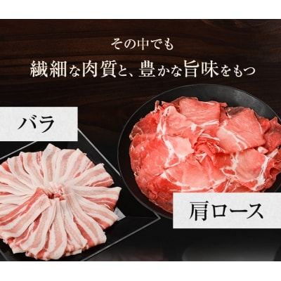 黒毛和牛ハンバーグ・黒豚しゃぶしゃぶセット【配送不可地域：離島】