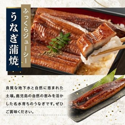 かごしま黒豚しゃぶしゃぶ用2パック・鹿児島県産ウナギ1尾のプチ贅沢セット【配送不可地域：離島】