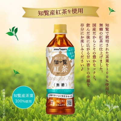 知覧かごしま紅茶 ペットボトル24本