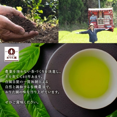 お徳用抹茶入知覧茶ティーバッグ100個入り2セット