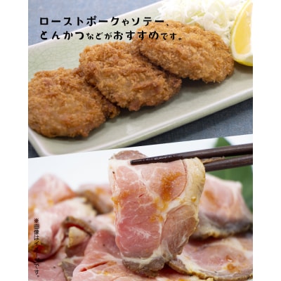 鹿児島県産黒豚ヒレブロック3本 約1.5kg【配送不可地域：離島】