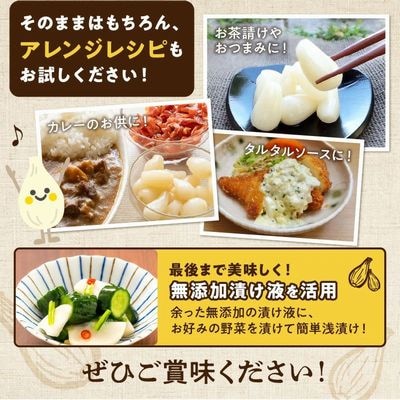 鹿児島県産砂丘らっきょう塩漬け1.8キロ【配送不可地域：離島】