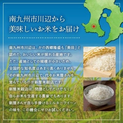 鹿児島県産ミルキークイーン5kg