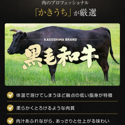 4等級の鹿児島黒毛和牛肩ロース切落し500g【配送不可地域：離島】