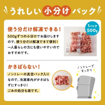 鹿児島県産豚切り落とし4kg【配送不可地域：離島】