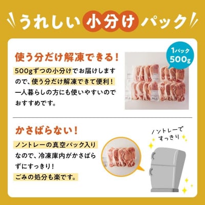 鹿児島県産豚ローススライス2kg【配送不可地域：離島】