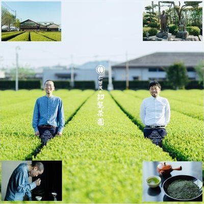 知覧茶園の深むし茶「金」2本セット