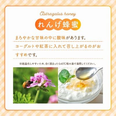 旅するはちみつ300g【れんげ蜂蜜】