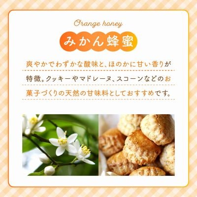 旅するはちみつ200g2本セット【りんご・みかん】