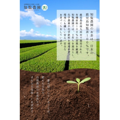 茶葉の栄養まるごとどうぞ!知覧粉末緑茶