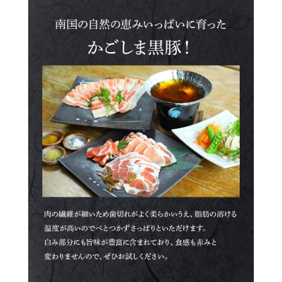 かごしま黒豚しゃぶしゃぶセット 雅【配送不可地域：離島】