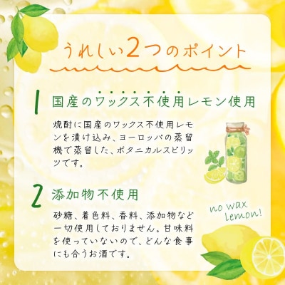 檸檬酎720ml×3本セット