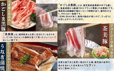 【全4回】かごしま黒豚・茶美豚・うなぎ定期便 106-13