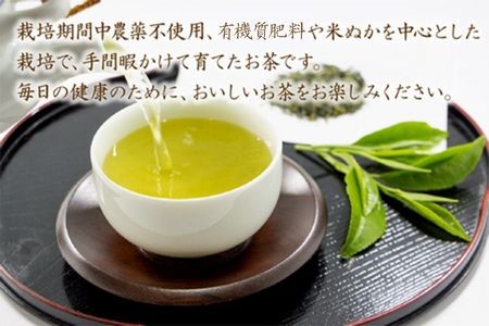 002-19 お茶で健康!こだわりの知覧茶3本セット