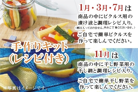 【全4回】南の大地で育てられた旬の野菜・果物定期便 017-15