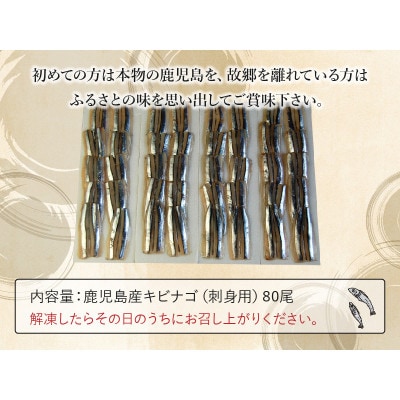 鹿児島産「キビナゴ」刺身用80尾 008-66【配送不可地域：離島】