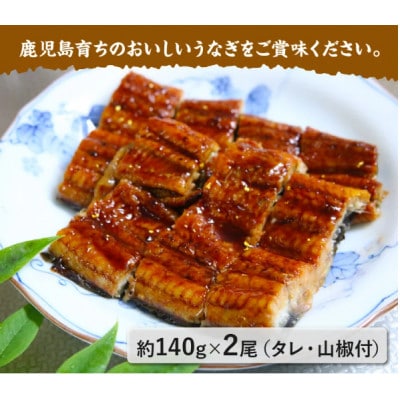 鹿児島県産うなぎ蒲焼2尾 008-55【配送不可地域：離島】