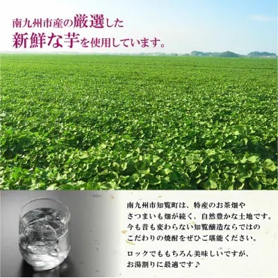 本格芋焼酎とお茶飲み比べCセット