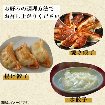 黒豚100%ギョウザ(10個入×8パック)【配送不可地域：離島】