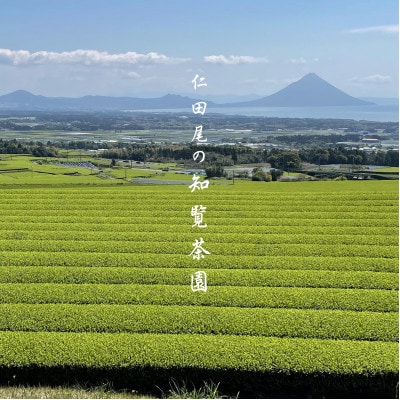 【令和8年産 新茶予約 贈答用】知覧茶園の深むし茶2本セット「金・吟」