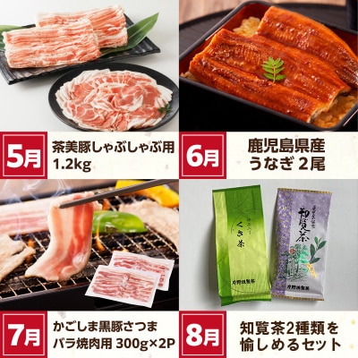 【発送月固定定期便】南九州まんぞく定期便2全12回【配送不可地域：離島】