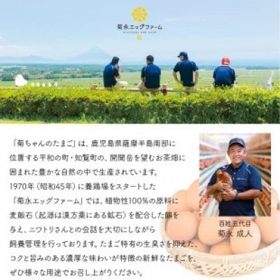 【発送月固定定期便】菊ちゃんのたまご(特級卵)(1・2・3・10・11・12月コース)全6回