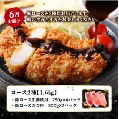 【発送月固定定期便】鹿児島県産 カミチク豚 定期便(南九州市)全4回【配送不可地域：離島】