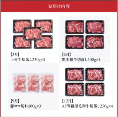 【発送月固定定期便】使い勝手抜群!牛＆豚切落し定期便(南九州市)全4回【配送不可地域：離島】