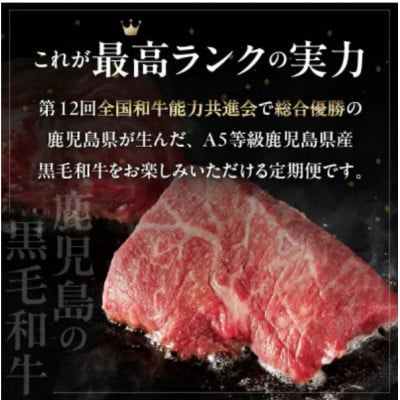 【発送月固定定期便】厳選A5等級オールスター牛肉定期便(南九州市)全4回【配送不可地域：離島】
