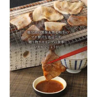 【毎月定期便】かごしま黒豚さつまと鹿児島県産黒毛和牛 計3.52kg(南九州市)全3回【配送不可地域：離島】